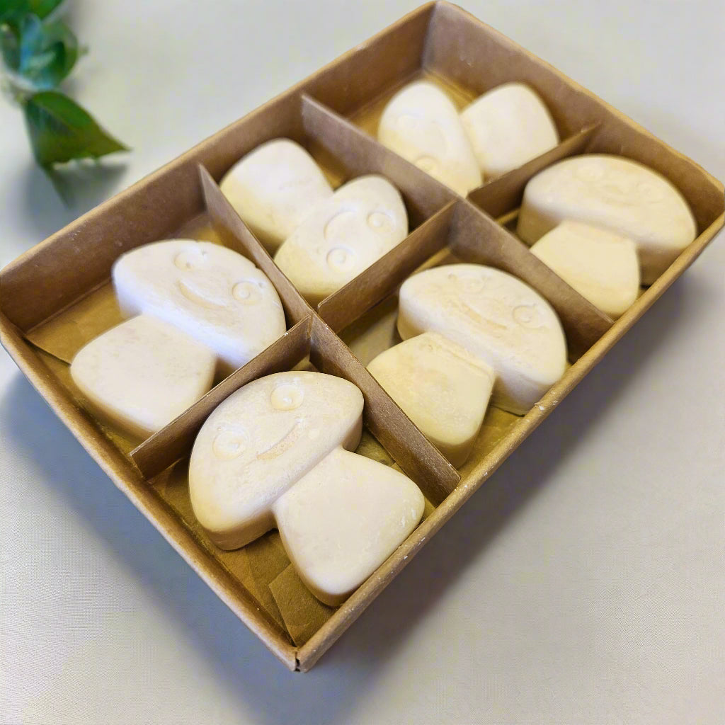 Vanilla Nutmeg Soy Wax Melts 6 Pack