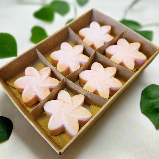 Japanese Magnolia Soy Wax Melts 6 Pack