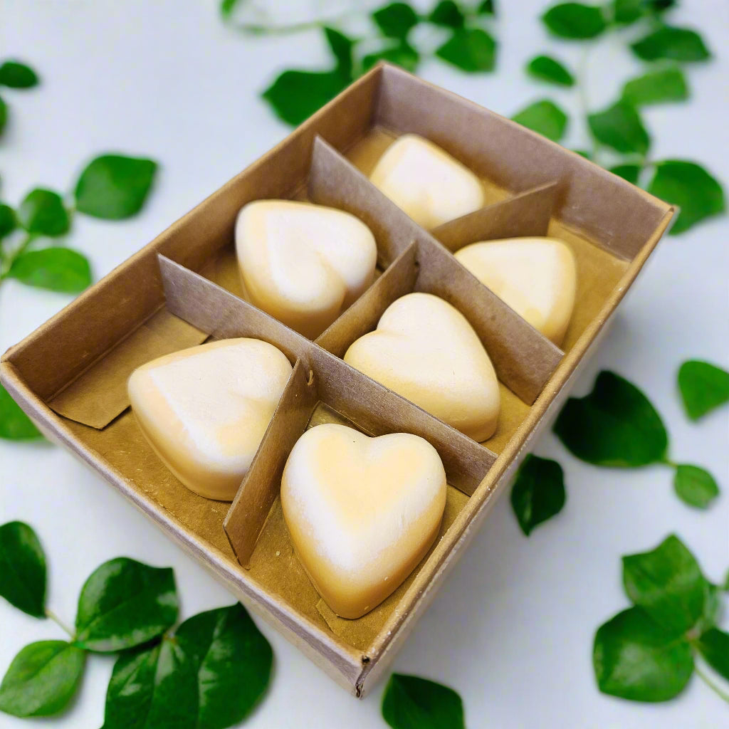 Cinnamon & Orange Soy Wax Melts 6 Pack