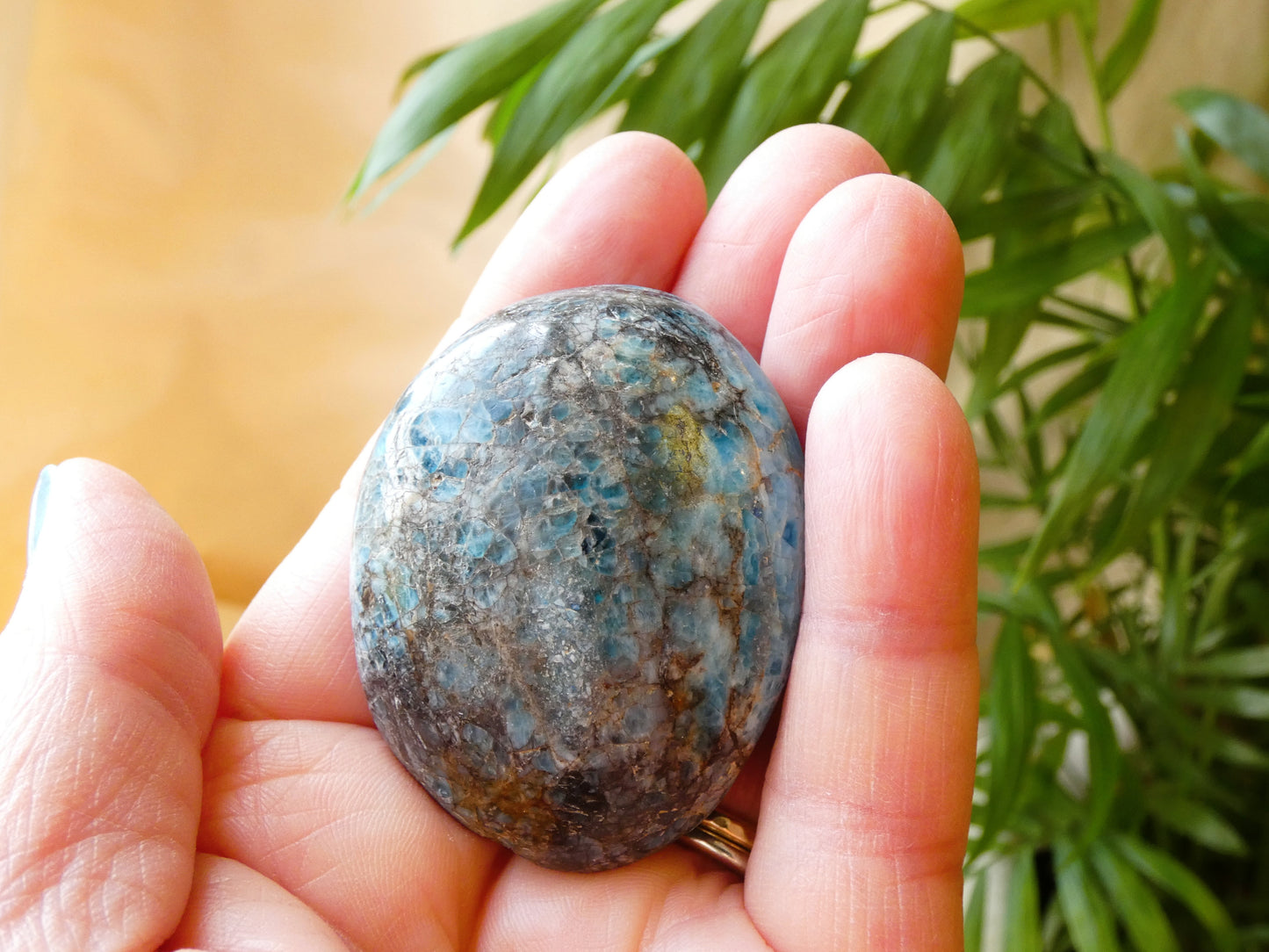 Apatite Palm Stone