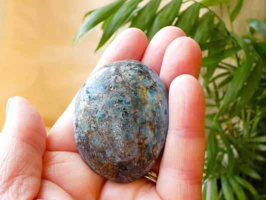 Apatite Palm Stone
