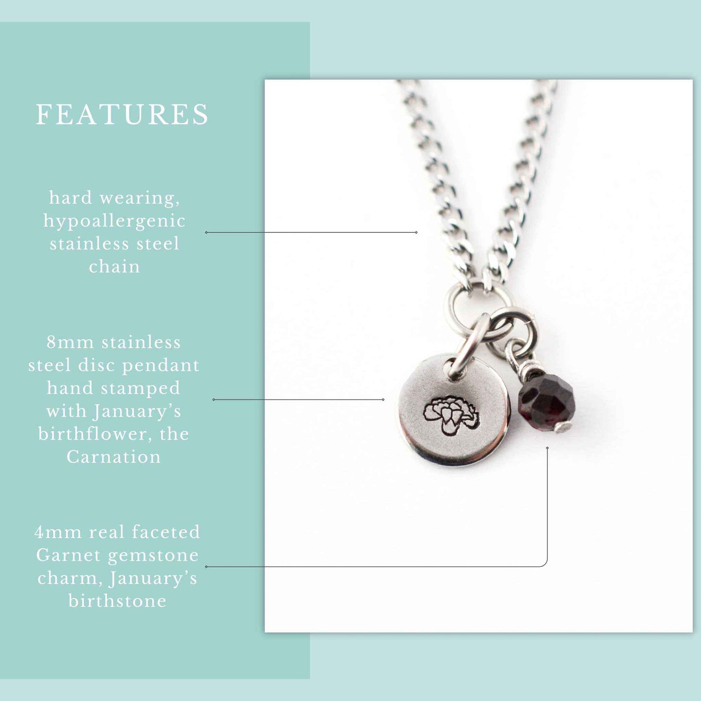 January Birthflower With Birthstone Necklace