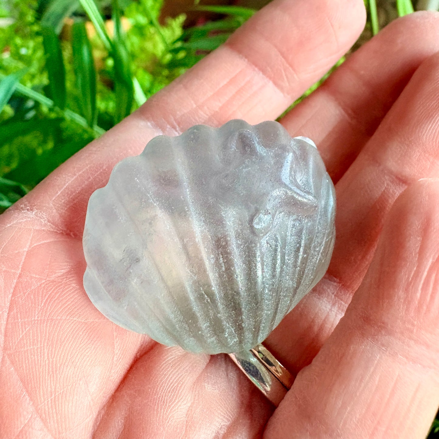 Fluorite Clam Shell