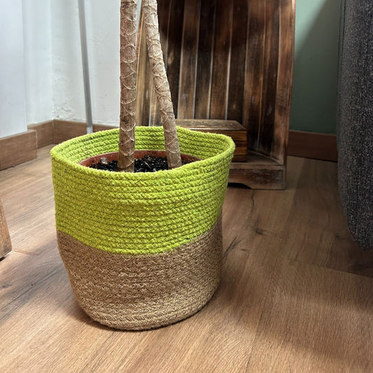 Set of 3 Cotton & Rope Baskets - Moss Green