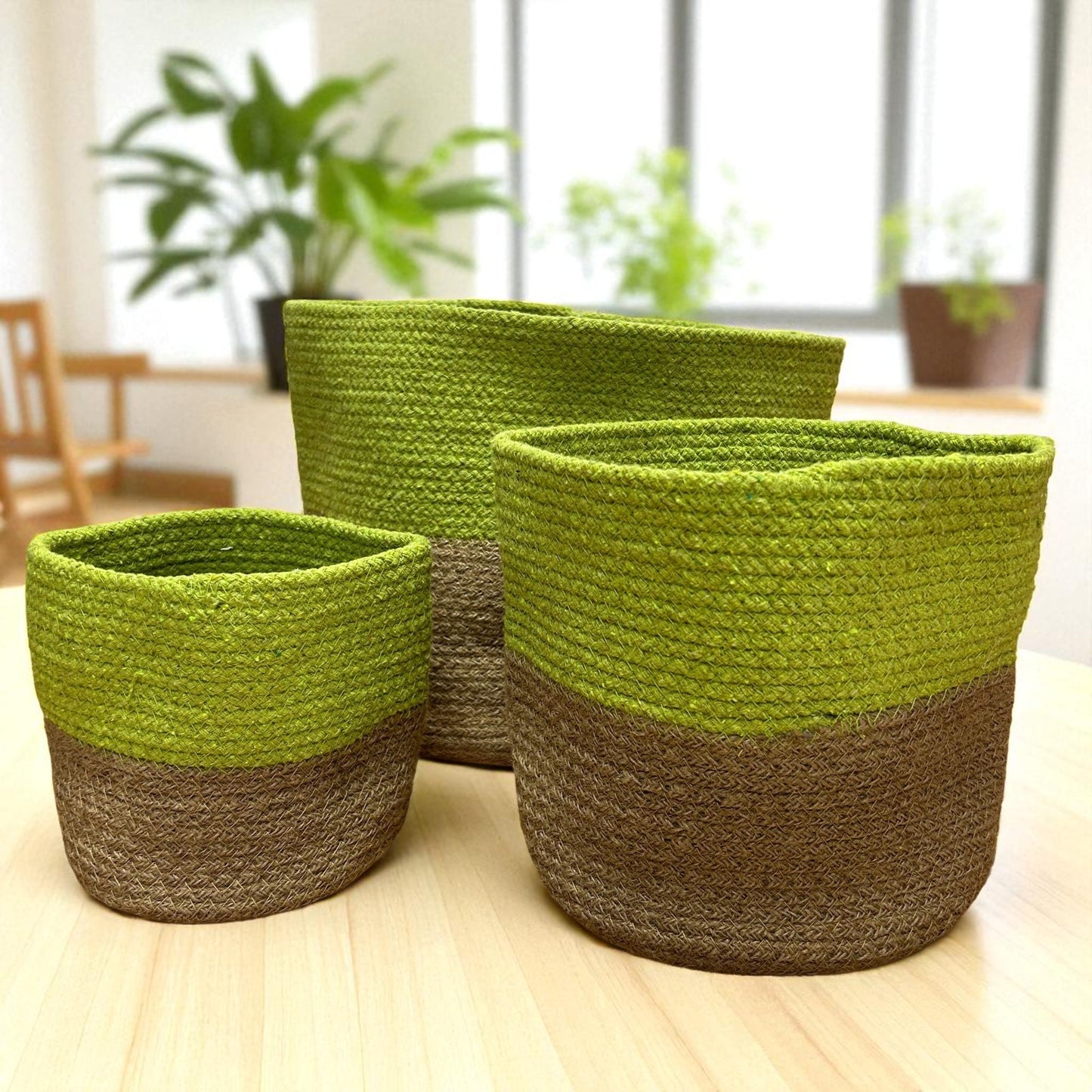 Set of 3 Cotton & Rope Baskets - Moss Green