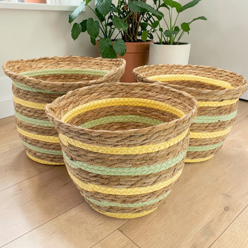 Set of three large woven seagrass storage baskets with yellow and mint green stripe detail, displayed on a light wood floor with green houseplants in the background