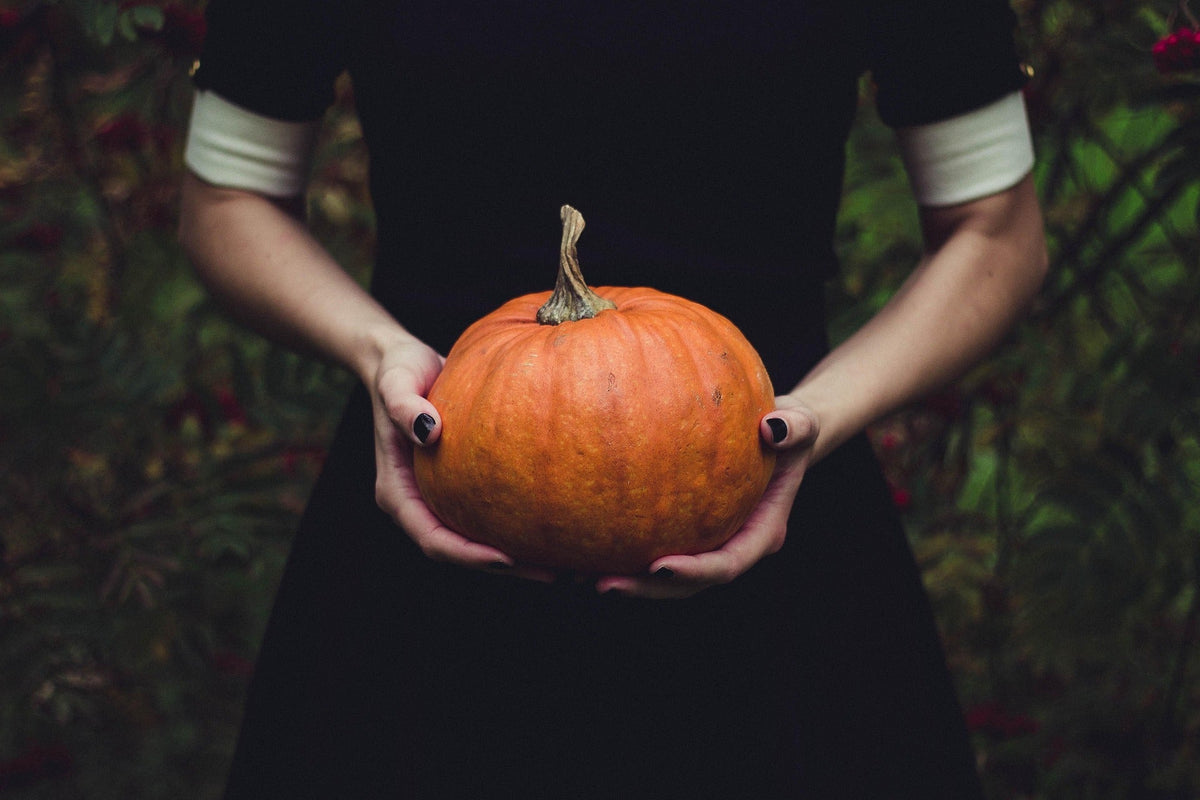 Hands with black nail polish holding a round orange pumpkin in front of a black dress with cream cuffs, with autumn foliage behind
