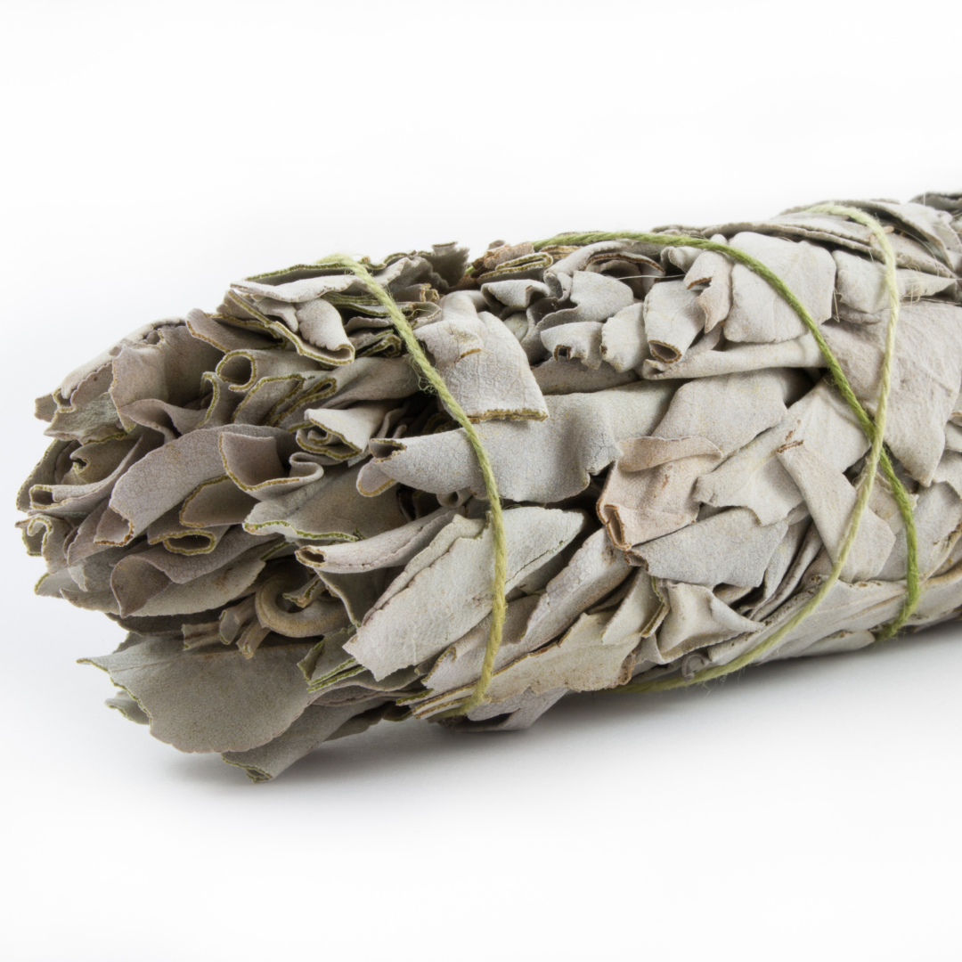 Blue Sage Smudge Stick (9 inch)