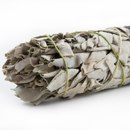 Blue Sage Smudge Stick (9 inch)
