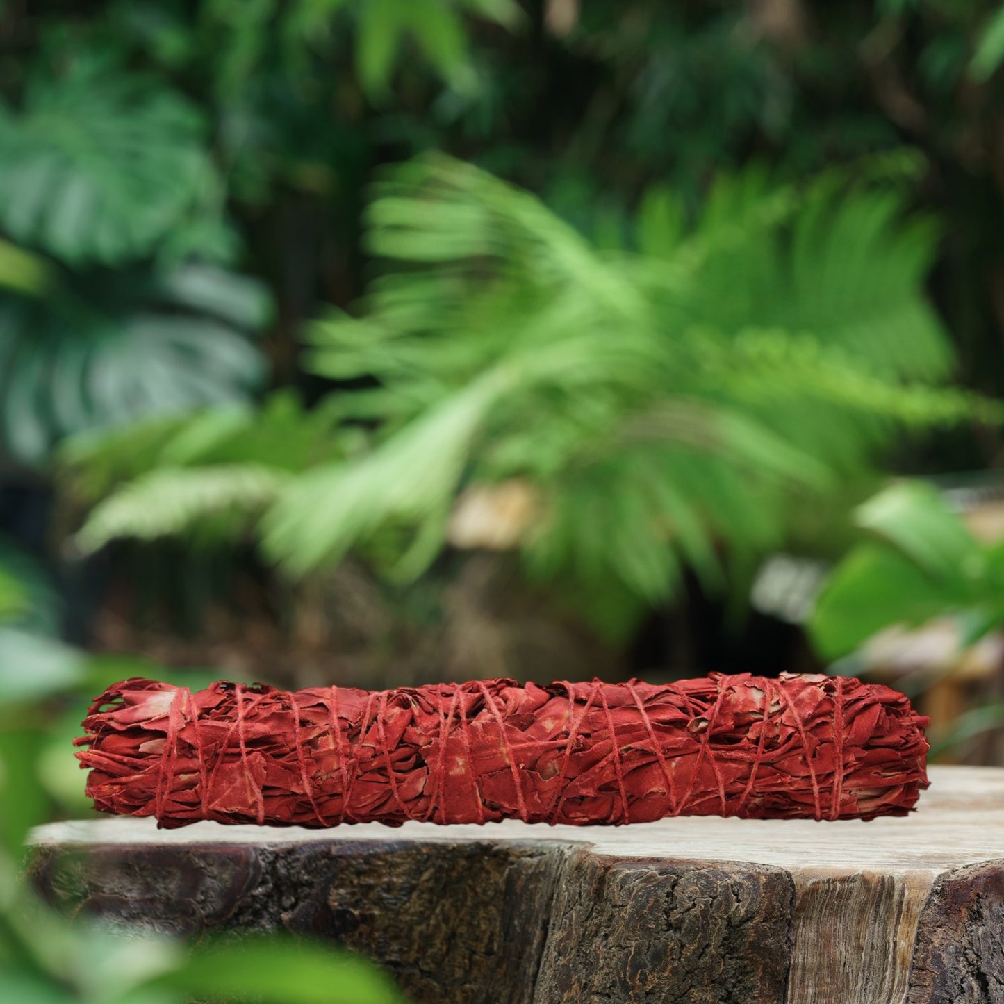 Dragons Blood Sage Smudge Stick (9 inch)