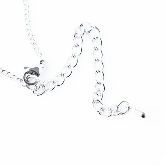 Stainless Steel Extender Chain