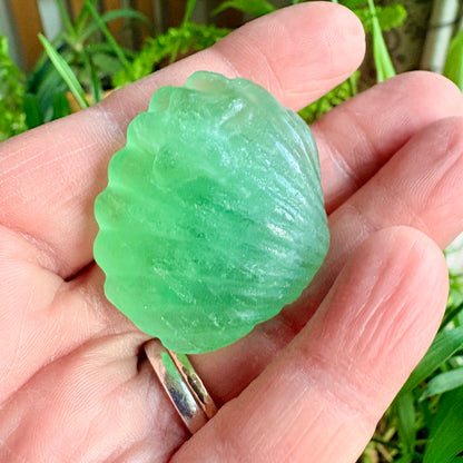 Fluorite Clam Shell