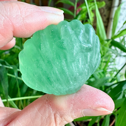 Fluorite Clam Shell