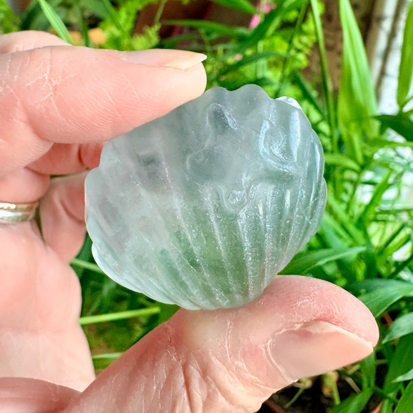 Fluorite Clam Shell