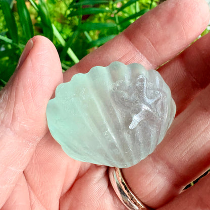 Fluorite Clam Shell