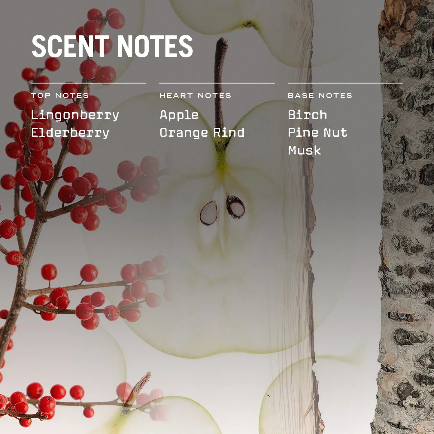 Product packaging with scented notes listed, featuring red berries and a tree branch.