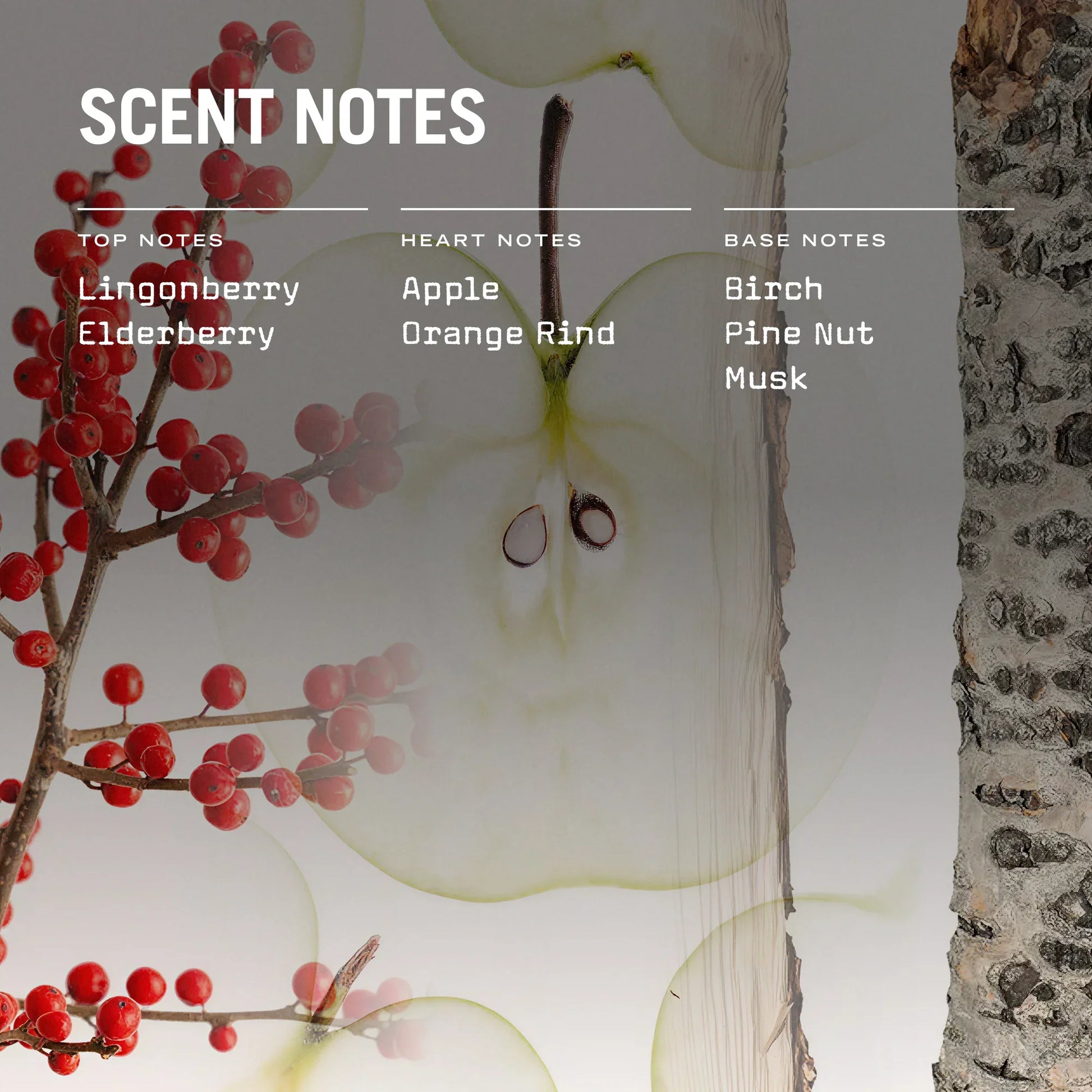 Product packaging with scented notes listed, featuring red berries and a tree branch.