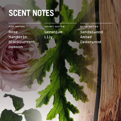 Rose and green leaves with scent notes text overlay on a wooden surface