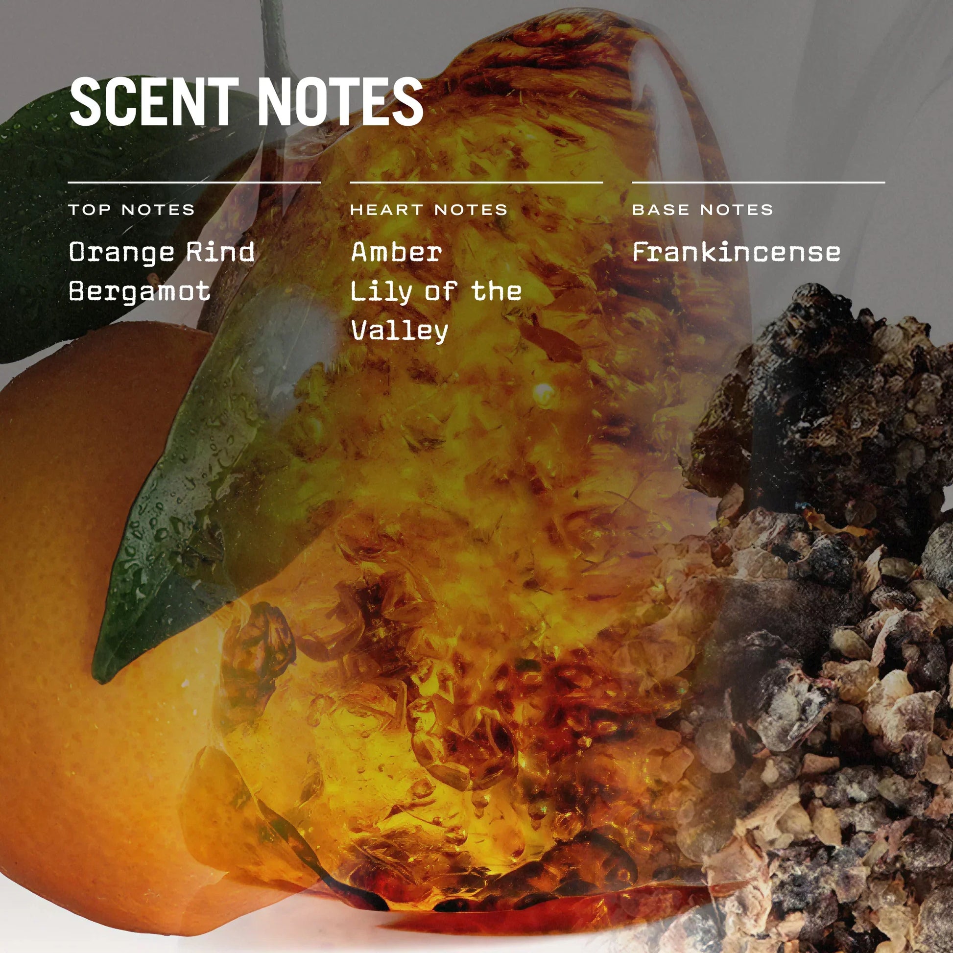 Scents of orange rind, bergamot, amber, lily of the valley, frankincense on a background with an orange and amber stone.