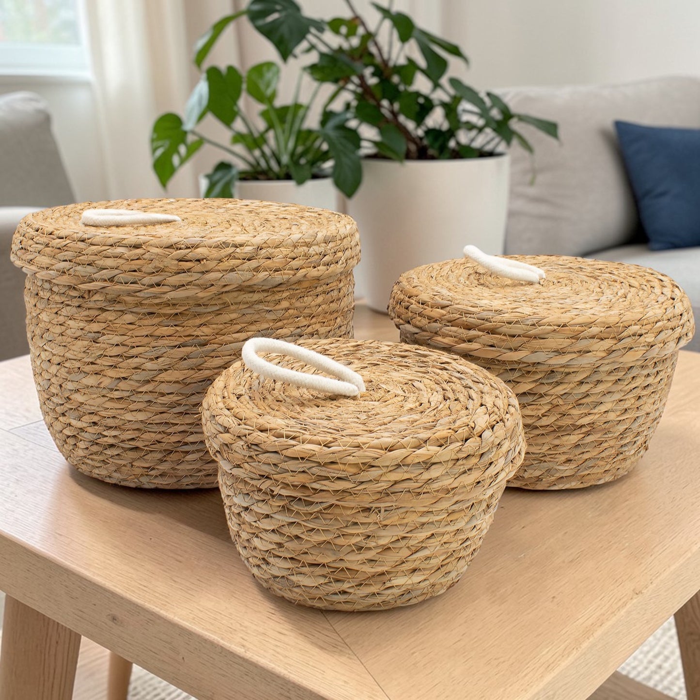 Natural Seagrass & Cotton Round Baskets with Lids - Set of 3
