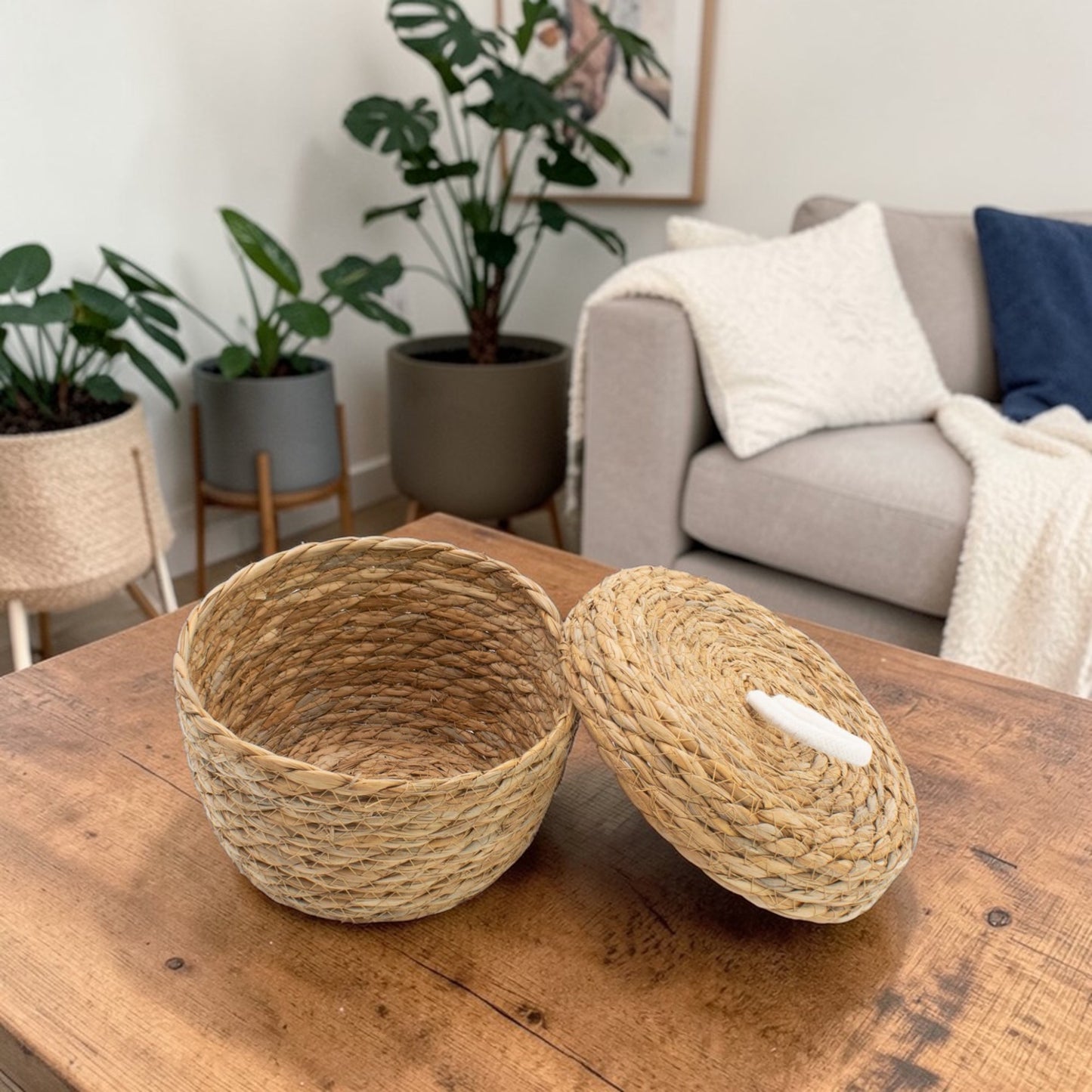 Natural Seagrass & Cotton Round Baskets with Lids - Set of 3