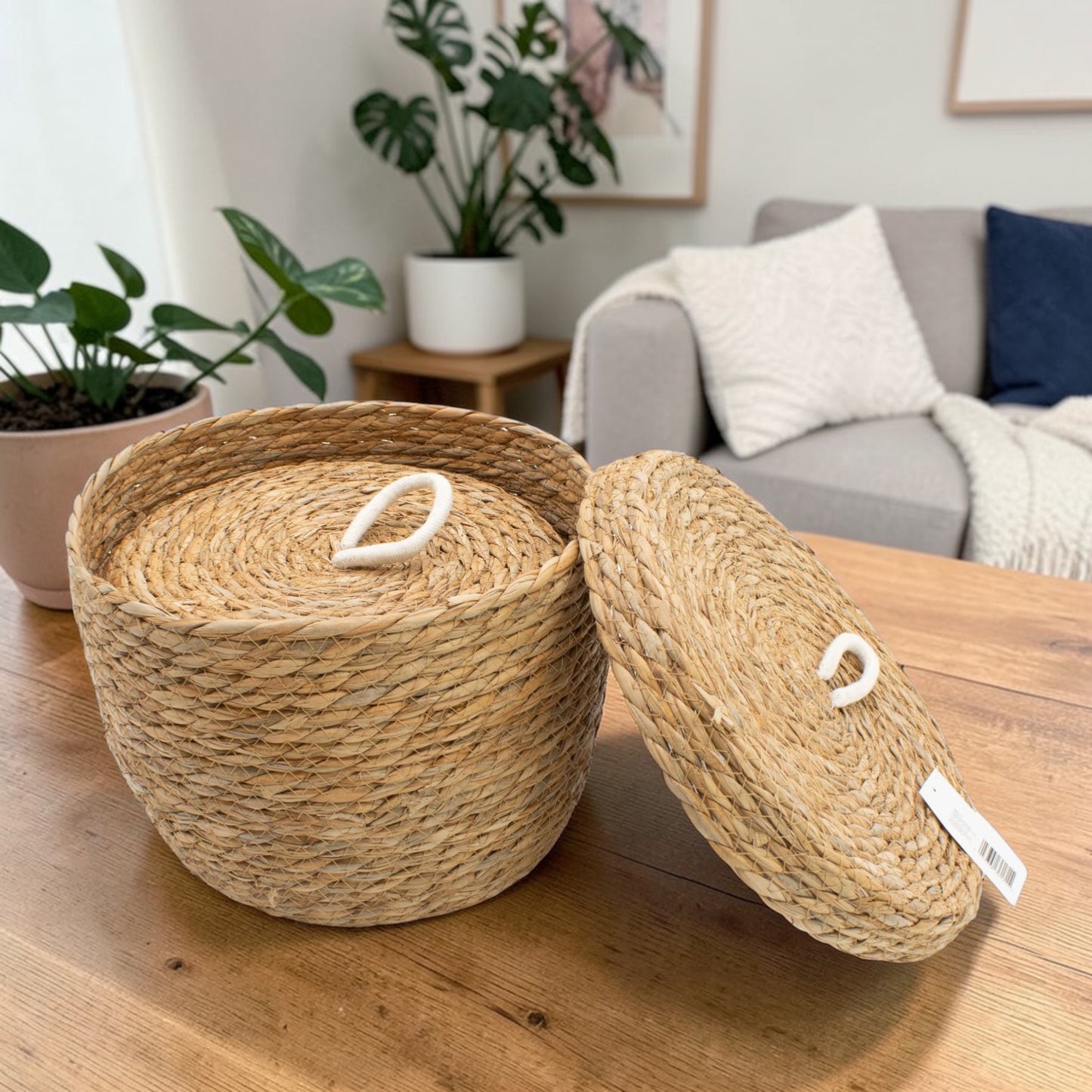 Natural Seagrass & Cotton Round Baskets with Lids - Set of 3