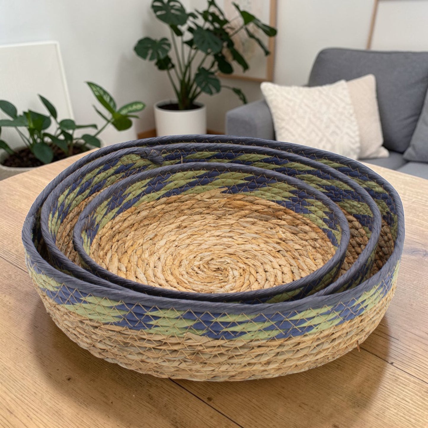Natural, Green & Blue Straw & Seagrass Tray Baskets - Set of 3