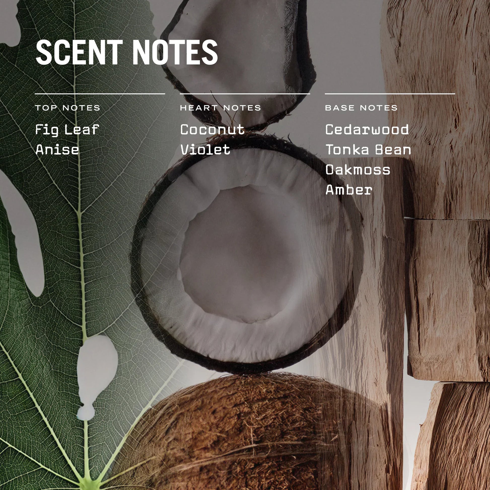 Coconut with leaf and wood elements, showing scent notes on a gray background