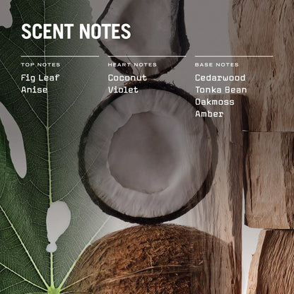 Coconut with leaf and wood elements, showing scent notes on a gray background