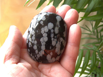 Snowflake Obsidian Palm Stone