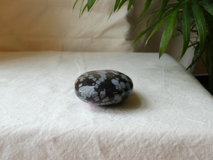 Snowflake Obsidian Palm Stone