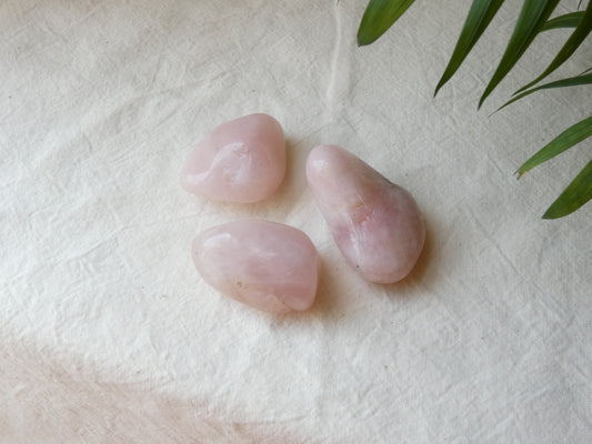 Rose Quartz Large African Tumble Stone