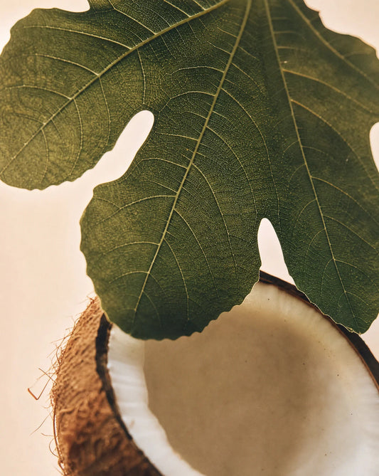 Close-up of a coconut with a green leaf on a beige background