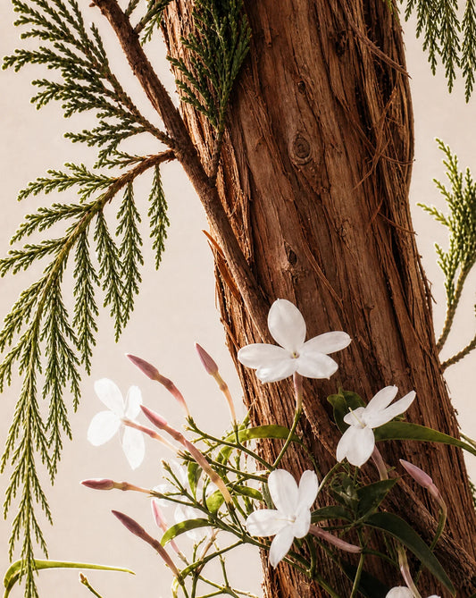 White flowers and green leaves against a wooden background