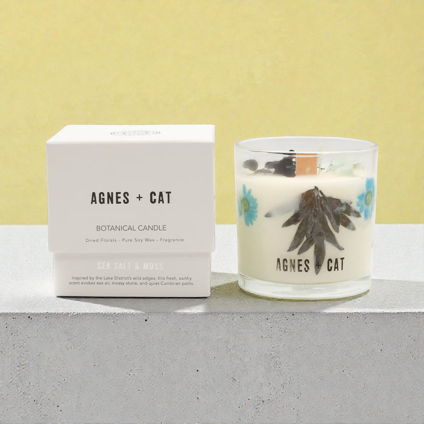 Agnes + Cat Botanical Soy Wax Candle - Seasalt & Moss