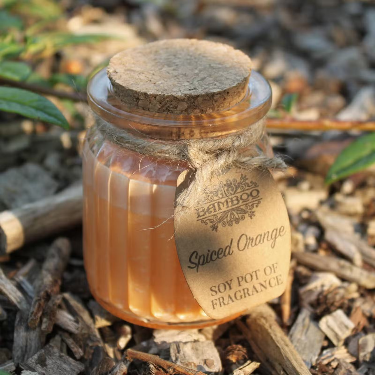 Spiced Orange soy candle jar with a cork lid on a cream cloth beside a green palm plant