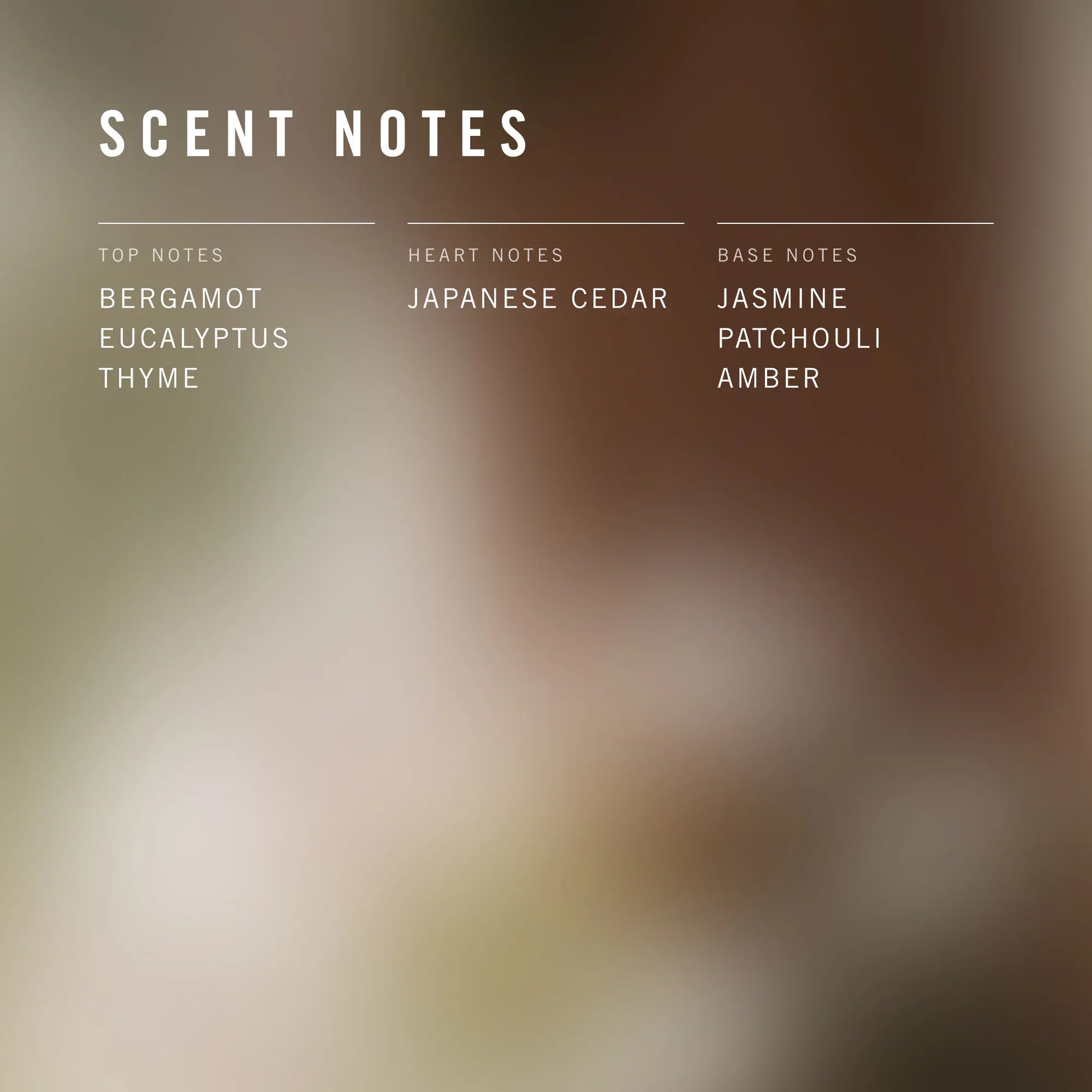 Scent notes label with top, heart, and base notes on a blurred background