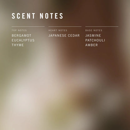 Scent notes label with top, heart, and base notes on a blurred background