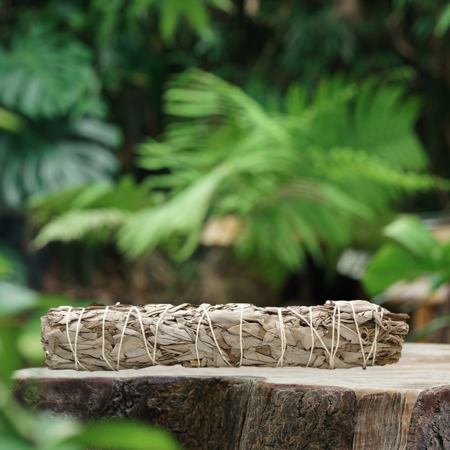 White Sage Smudge Stick (9 inch)