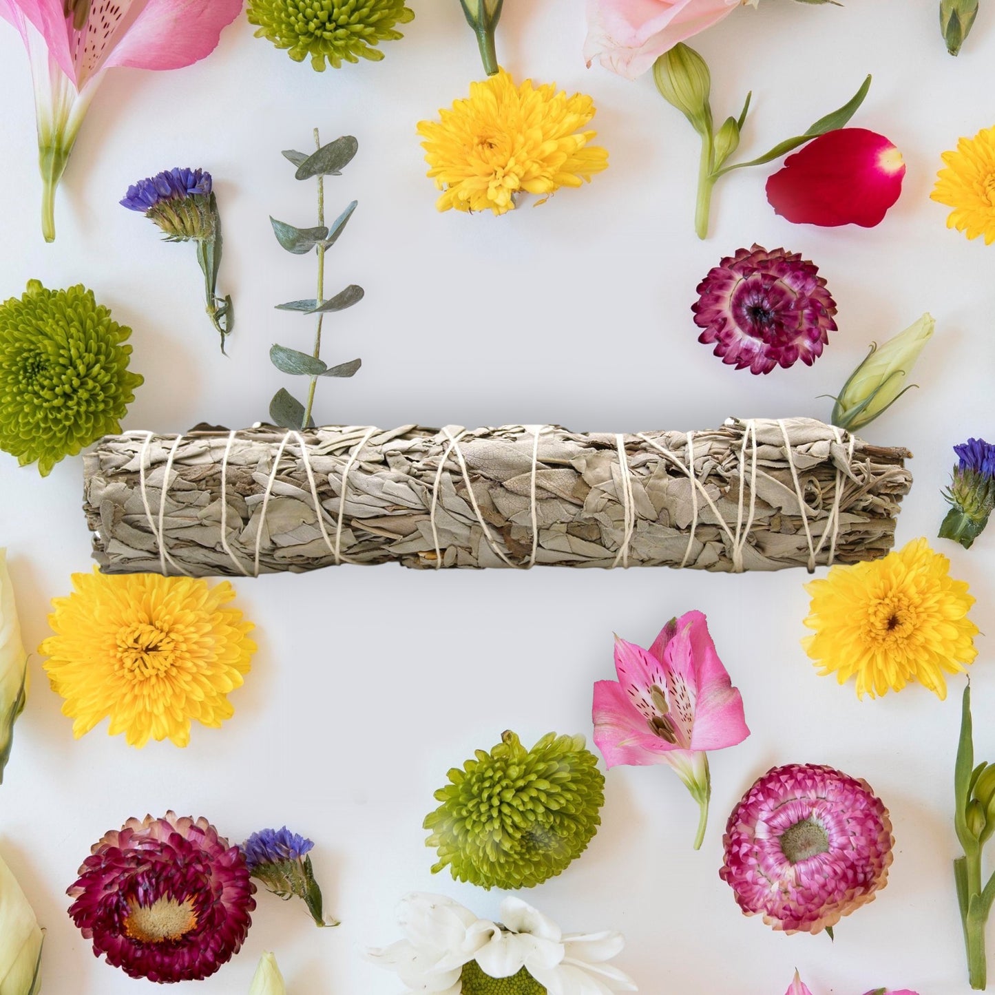 White Sage Smudge Stick (9 inch)