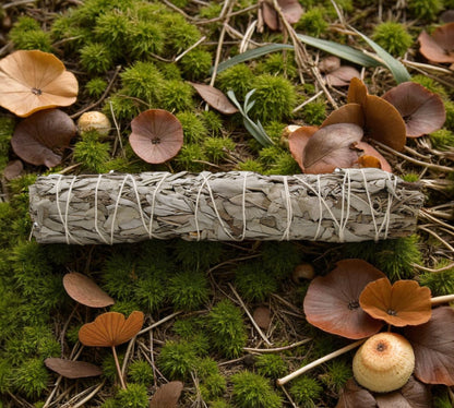White Sage Smudge Stick (9 inch)