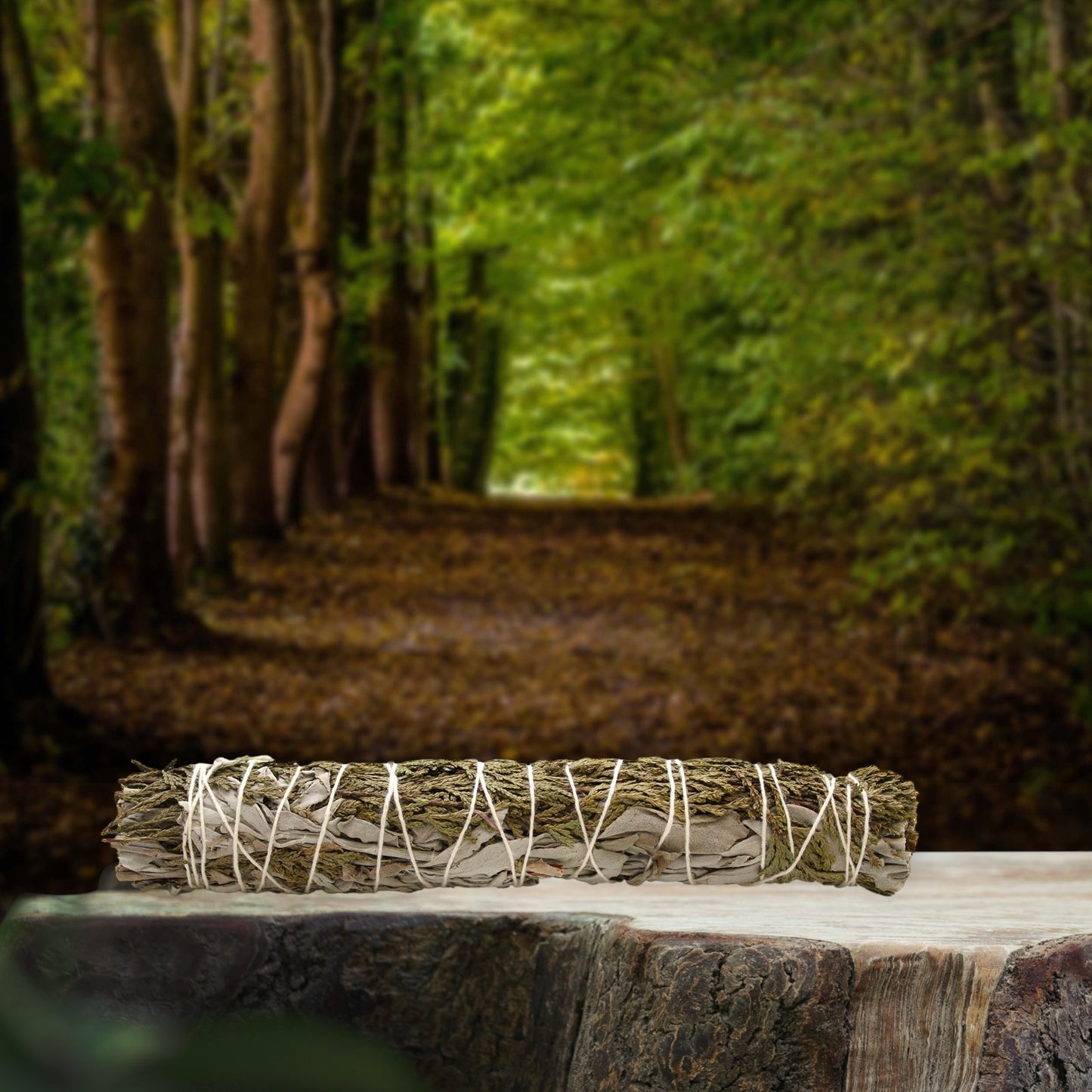 White Sage & Cedar Smudge Stick (9 inch)