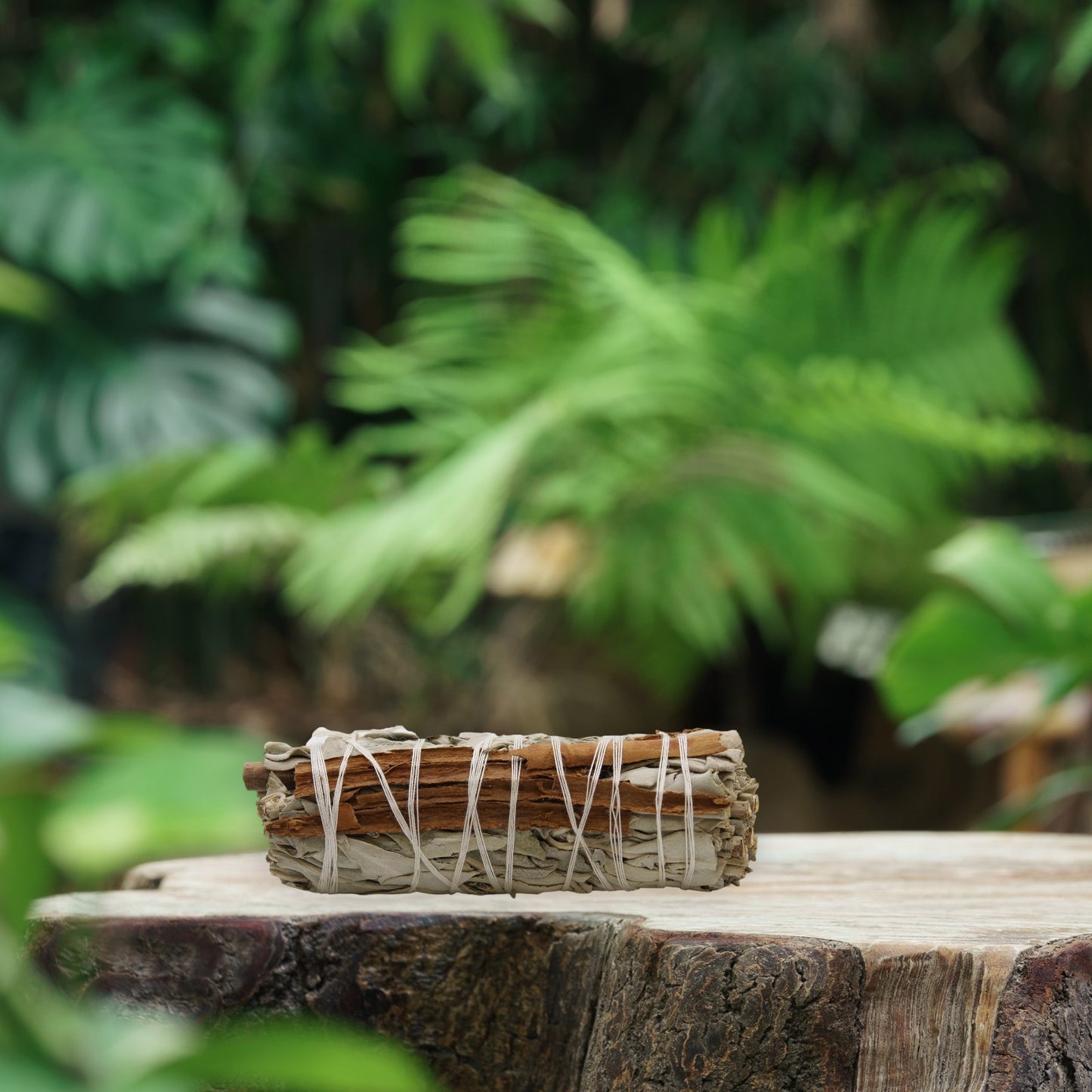 White Sage & Cinnamon Smudge Stick (4 inch)