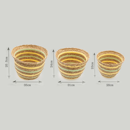 Natural, Yellow & Green Seagrass & Straw Baskets  - Set of 3