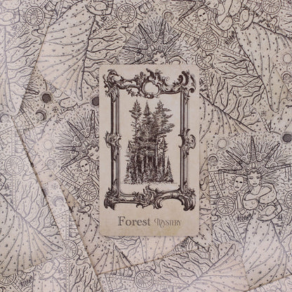 The Spellbook Oracle Cards - Witchcraft Deck